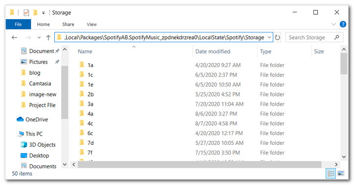 Spotify Download Folder